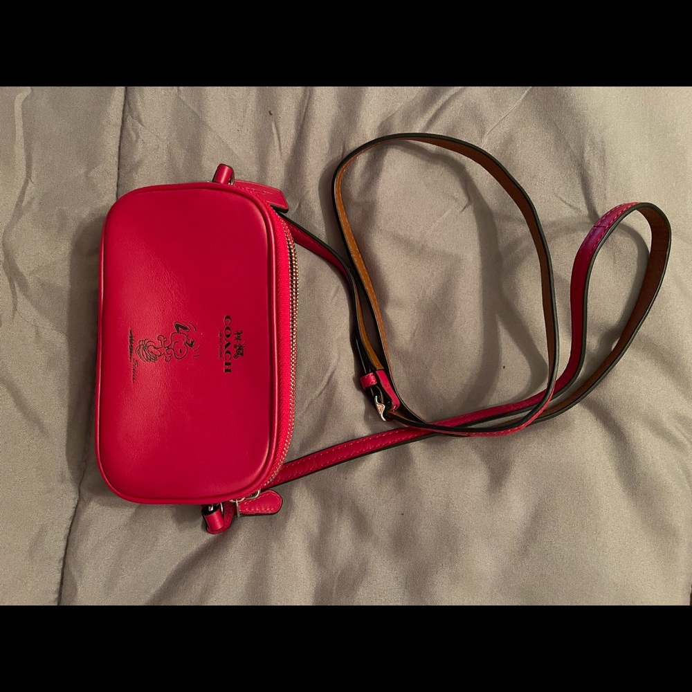 Coach Peanuts bag.